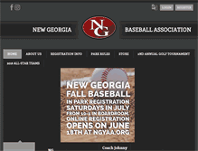 Tablet Screenshot of ngyaa.org